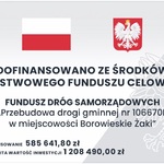 Tablica logo Borowskie Żaki.jpg